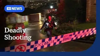 Man killed in second targeted shooting in Sydney within days | ABC NEWS