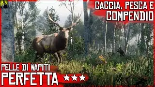 Red Dead Redemption 2 | Caccia e Compendio - Pelle di Wapiti Perfetta | HD ITA (2023)