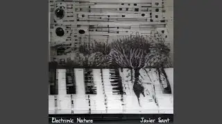 Electronic Nature (V1)
