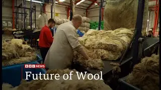 Future of wool - British Wool celebrates 75 years in the UK - 29/Sep/2025