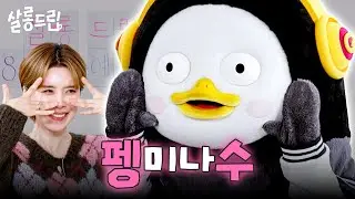 서바이벌계에 혜성 같이 등장한 펭플루언서 | EP. 125 펭수 | 살롱드립