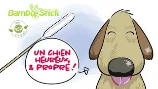 Utilisation du coton tige pour chien Bamboostick&reg;