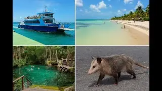 Плайя, Тулум и остров Holbox &mdash; сеноты, животные и жизнь в Мексике