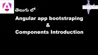 Live Angular Workshop: App Bootstrapping & Components Introduction