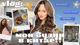 китайский универ изнутри | пары, учителя, обычные будни