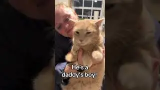 @cheddarloafplusthree: He&rsquo;s a daddy&rsquo;s boy!  #catlovers #cat #kitten