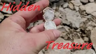 Mining Geodes in Hamilton, IL