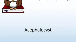 How to say Acephalocyst in English? - Pronunciation Owl
