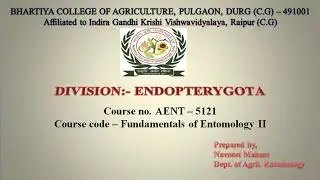 Classification of Insect | Division Endopterygota By Navneet Mahant
