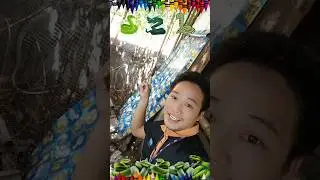 งูเข้าคอกไก่ 😱😱😱 #funny #subscribe #shortsfeed #shortvideo #shortsvideo #reels #กดติดตาม #shorts