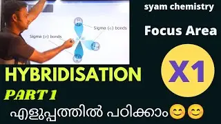 Hybridisation | Class 11 Focus area | Part 1
