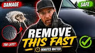 HOW TO REMOVE BIRD POO IN 3 SIMPLE STEPS | Garage Therapy Method