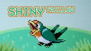577 - LIVE! Shiny Taillow after 19,182 REs in Sapphire [Phase 1 for Jigglypuff/Swellow]