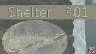SHELTER Let&acute;s Play Part 1 - DACHSMAMA PENETEKA - [Deutsch][Indie][Blind]