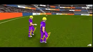 IPL FEVER