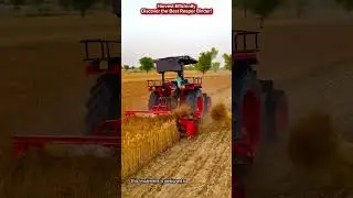 Harvest Efficiently | Discover the Best Reaper Binder!