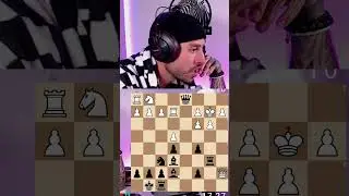 Alle melden | 🔴 Live auf Twitch: twitch.tv/ZugZwangZebra #chess #schach #twitch