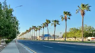 YANBU TROPICAL VIBES! | Star Market RC | Afternoon Walk