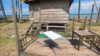 starlink antenna activated in an remote island, pacific