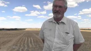 Over The Fence West: Summer crops hold promise in WA Wheatbelt