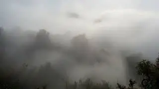 Bailando en la niebla - Crix1066 
