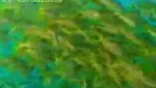 Survivor Micronesia - Official intro