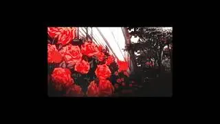 Juice WRLD - Jeffrey (Sped up + Reverb)
