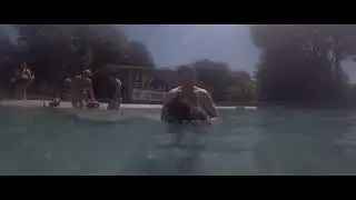 Tilde, lagotto romagnolo, in piscina all&rsquo;Officina del cane  - Brugherio (Mb)