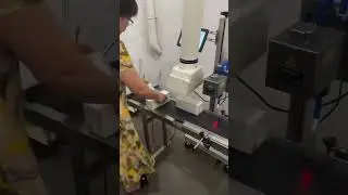 Co2 flying online laser marking machine for pharmaceutical boxes production line automatic marking