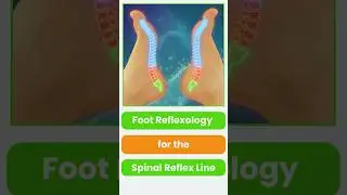 Foot Reflexology for the Spinal Reflex Line