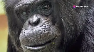 Discover Africa  Top Must Visit Destination 2024.