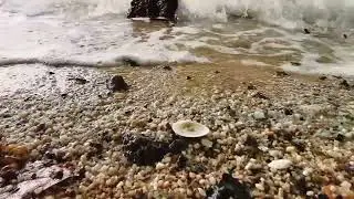 Seashells and Sunshine is my kind of Paradise