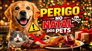 Atenção na Ceia de Natal: Perigos para Cães e Gatos