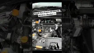 Tata Punch 🥊 Engine Vibration #tata #tatapunch