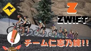 【ZWIFT #391】 年明けVeb Top朝練！【チームNISHINO練】