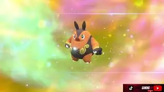 Tepig Evolves Into Pignite Pok&eacute;mon Violet The Indigo Disk DLC
