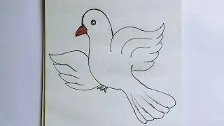 How to draw a bird 🕊️ // Bird drawing easy and beautiful