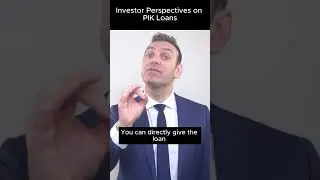 Investor Perspectives of PIK Loans