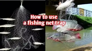 How to use a fishing net trap#fish trap#
