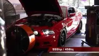 Real Speed's 10th Annual Dyno Day 2014