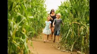YORK MAZE | Giant Maize Maze