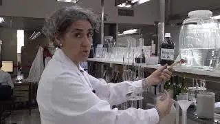 CEVI- TEC. SUP. EN VITICULTURA Y ENOLOGÍA- 