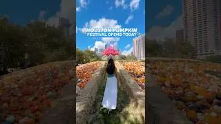 ✨𝙃𝙊𝙐𝙎𝙏𝙊𝙉 𝙋𝙐𝙈𝙋𝙆𝙄𝙉 𝙁𝙀𝙎𝙏𝙄𝙑𝘼𝙇✨ 🎃🍁🍂