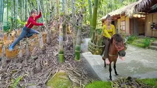 Digging Bamboo Shoots in the Wild - Strong Horse Journey to the Market