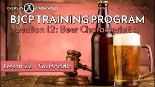 BJCP Training: Section 12 Beer Characteristics - Lesson 22 - Sour/Acidic