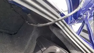 2014 - 2019 Mustang Backup Camera Not working - Check This First