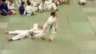 Judo Mark ????