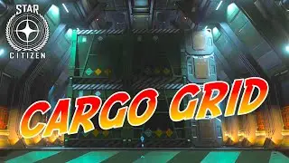 4.2 PTU Anvil Asgard cargo grid