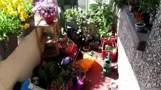 Balcony Spring Clean