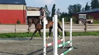Dressyrsto f 2011 e Fiderstep - Weltmeyer